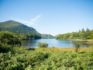 Natuurfoto Killarney West Ierland
